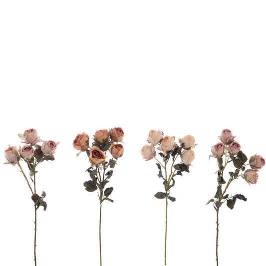 Ramo Roselline