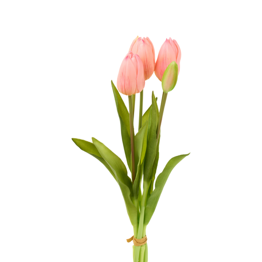 Bouquet 5 tulipani rosa chiaro