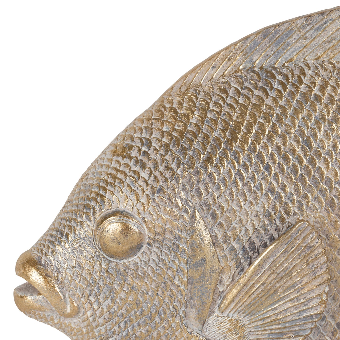 Decoro pesce