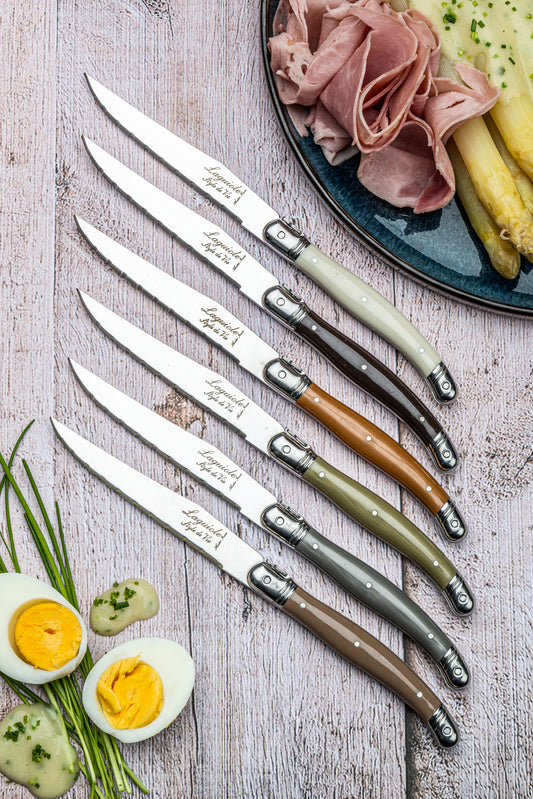 Set 6 coltelli bistecca Premium