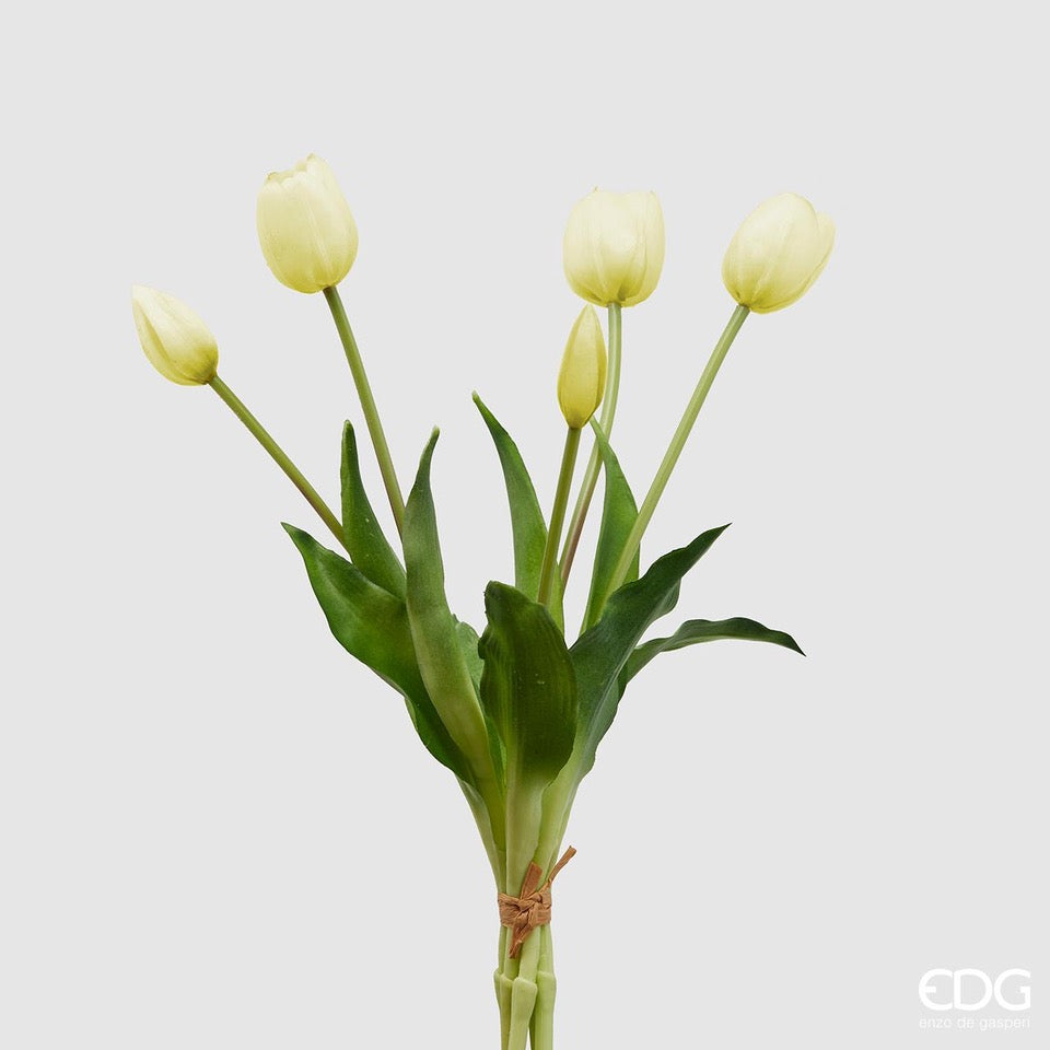 Bouquet 5 tulipani bianchi