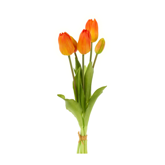 Bouquet 5 tulipani arancio screziato