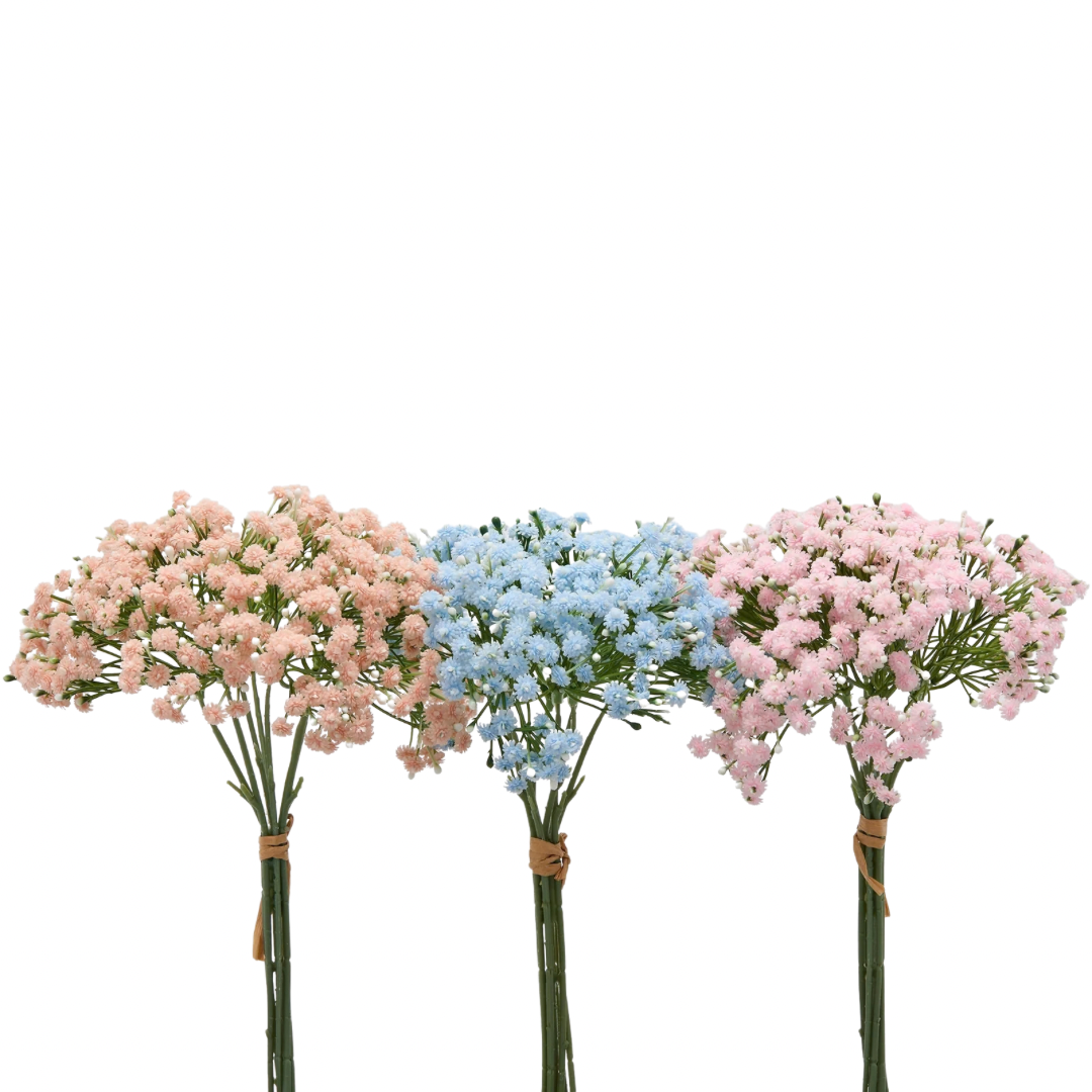 Ramo Gypsophila