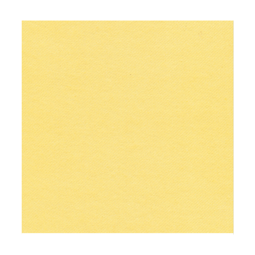 Tovaglioli in carta Airlaid Citrus