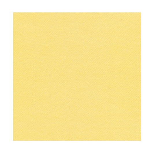 Tovaglioli in carta Airlaid Citrus