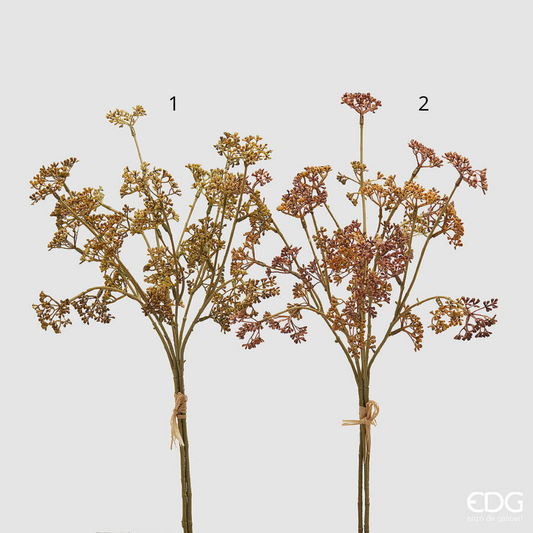 Mazzo Finocchio selvatico