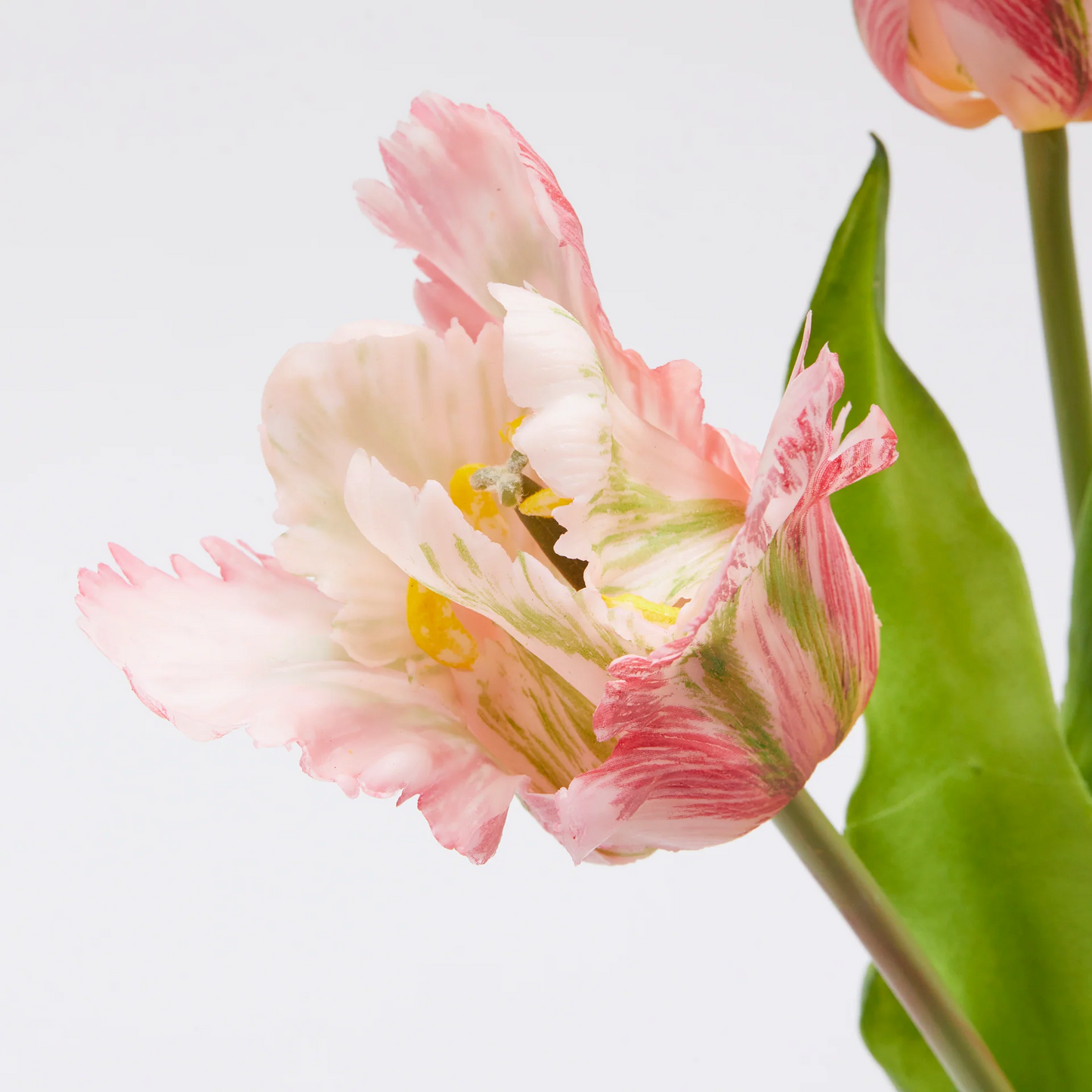 Bouquet 3 tulipani Parrot Rosa