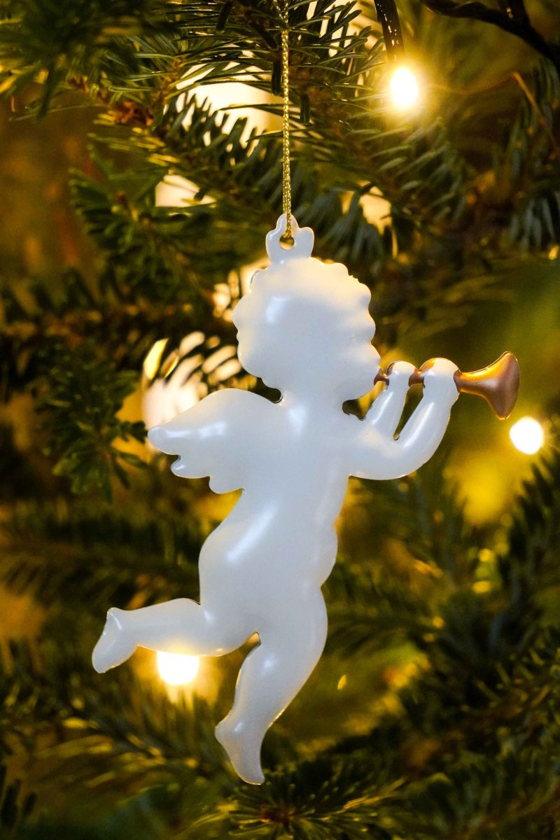 Decoro Angelo