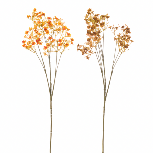 Ramo Fiore Gipsofila
