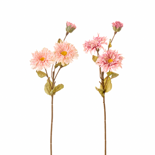 Ramo di Gerbera