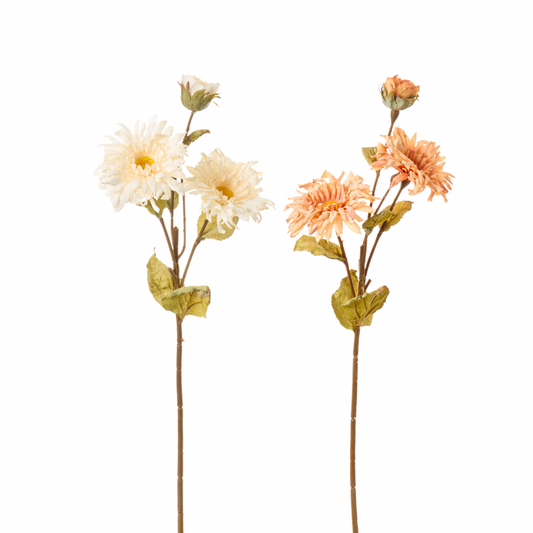 Ramo di Gerbera