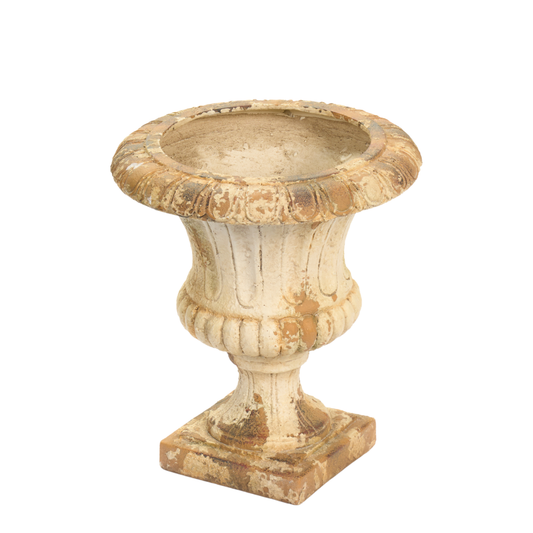 Vaso Fiorirà