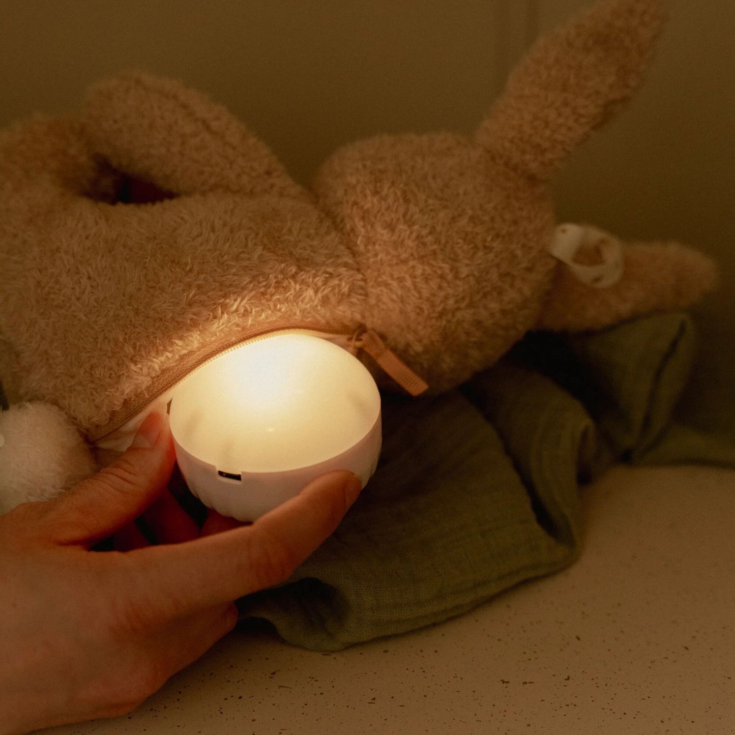 Bunny Light & Sound - Baby Bunny