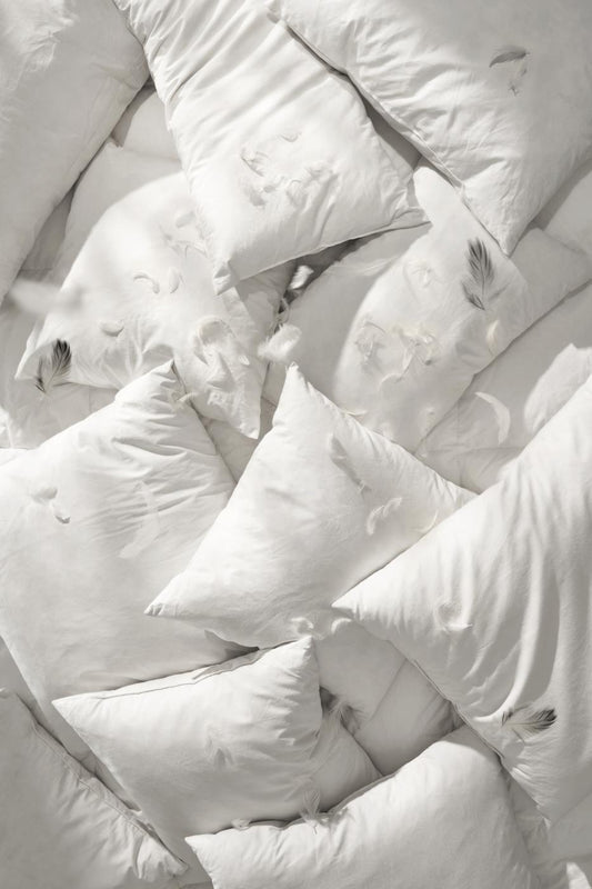 Imbottitura cuscino piuma d’ anatra