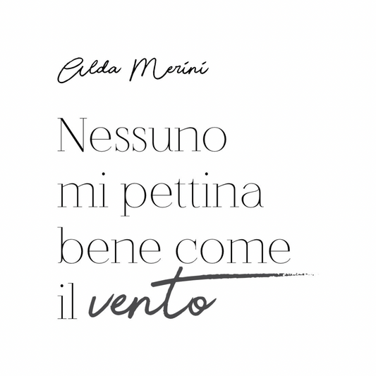 Tela “Nessuno mi pettina bene come il vento"