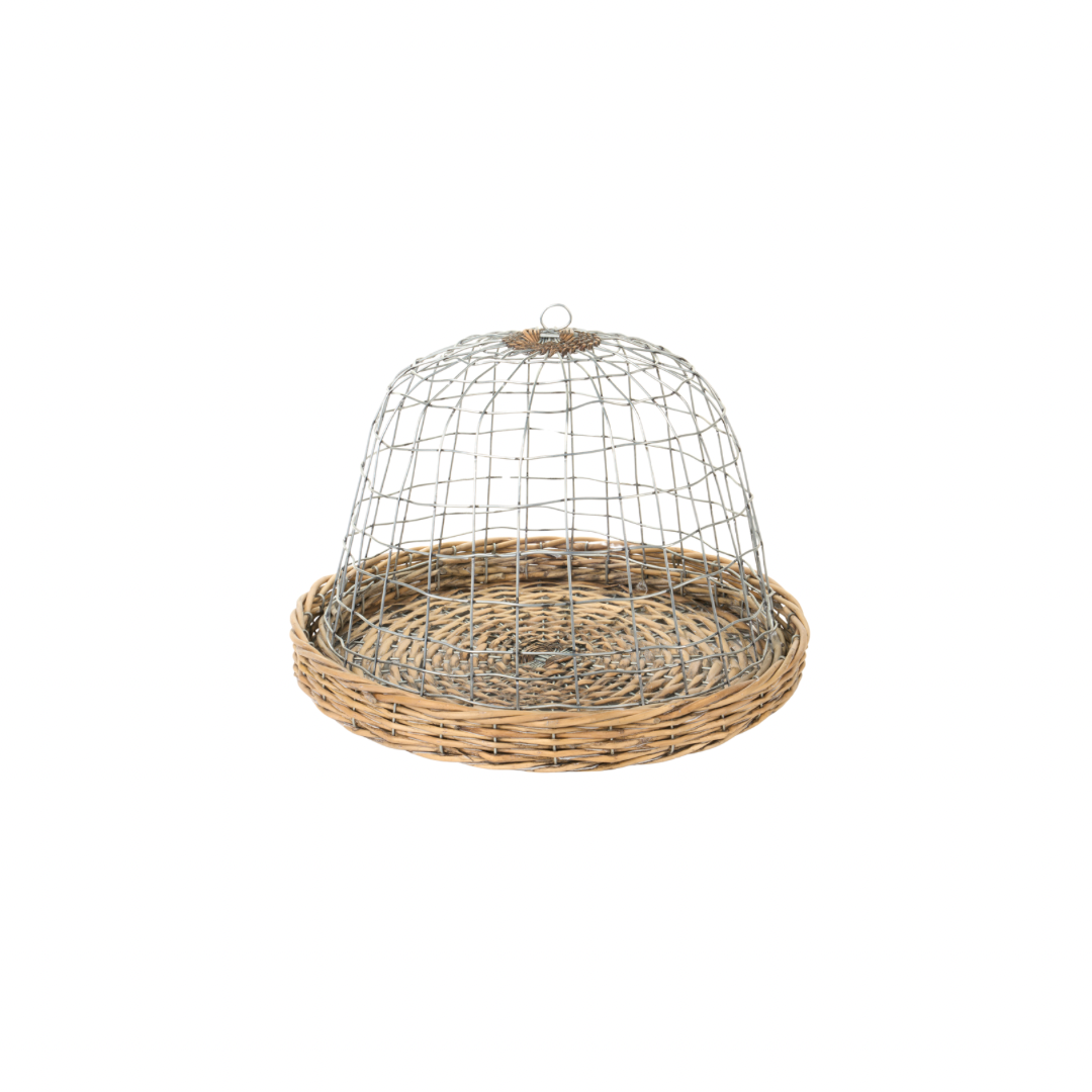 Campana con piatto