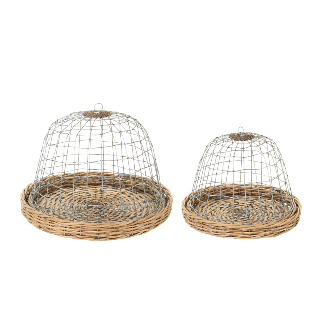 Campana con piatto