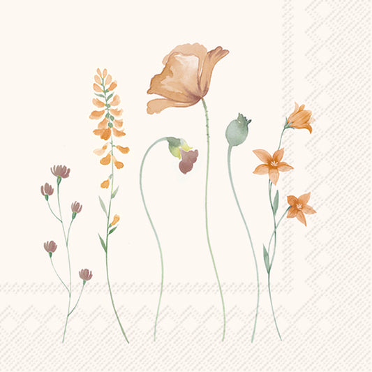 Tovaglioli in carta "Cristelle” cream