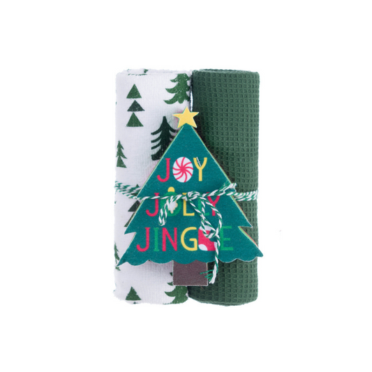 Set 2 canovacci con spugna