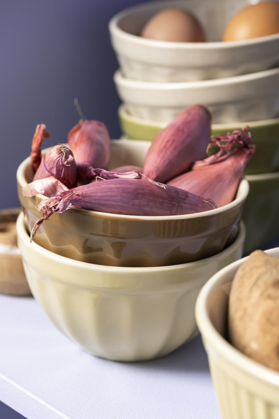 Musli Bowl Mynte Hazelnut