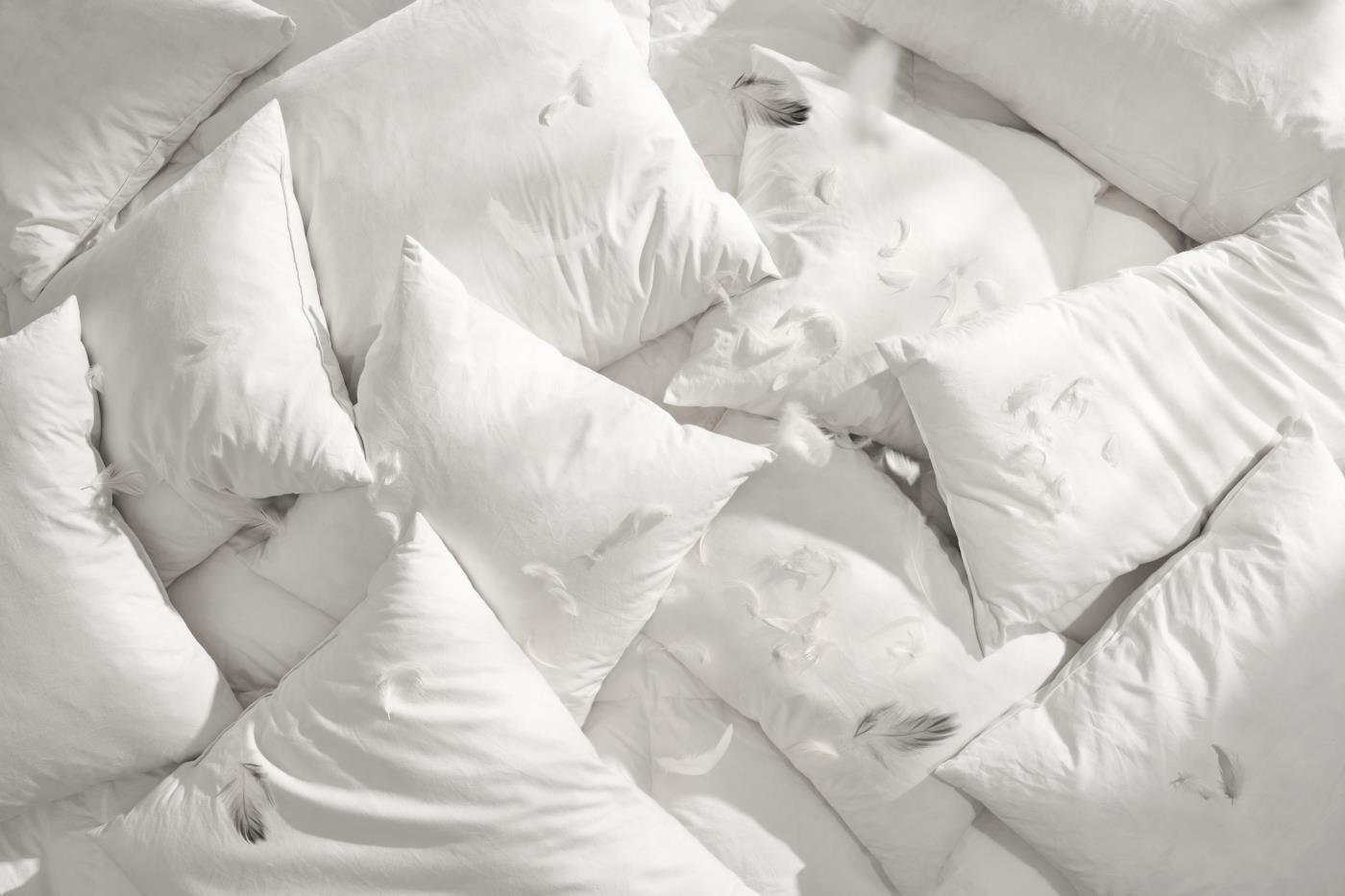 Imbottitura cuscino piuma d’ anatra