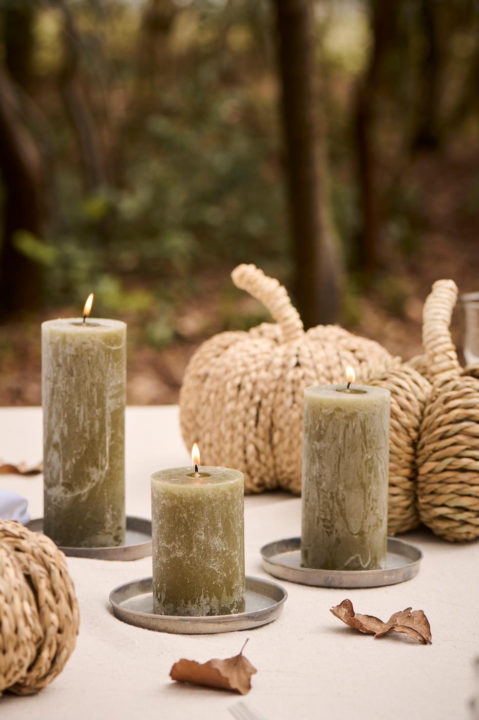 Candela Olive Green