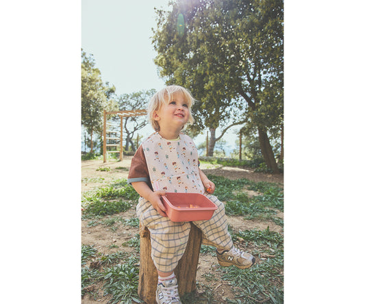 Bento Box Tutete The Wooden Boy