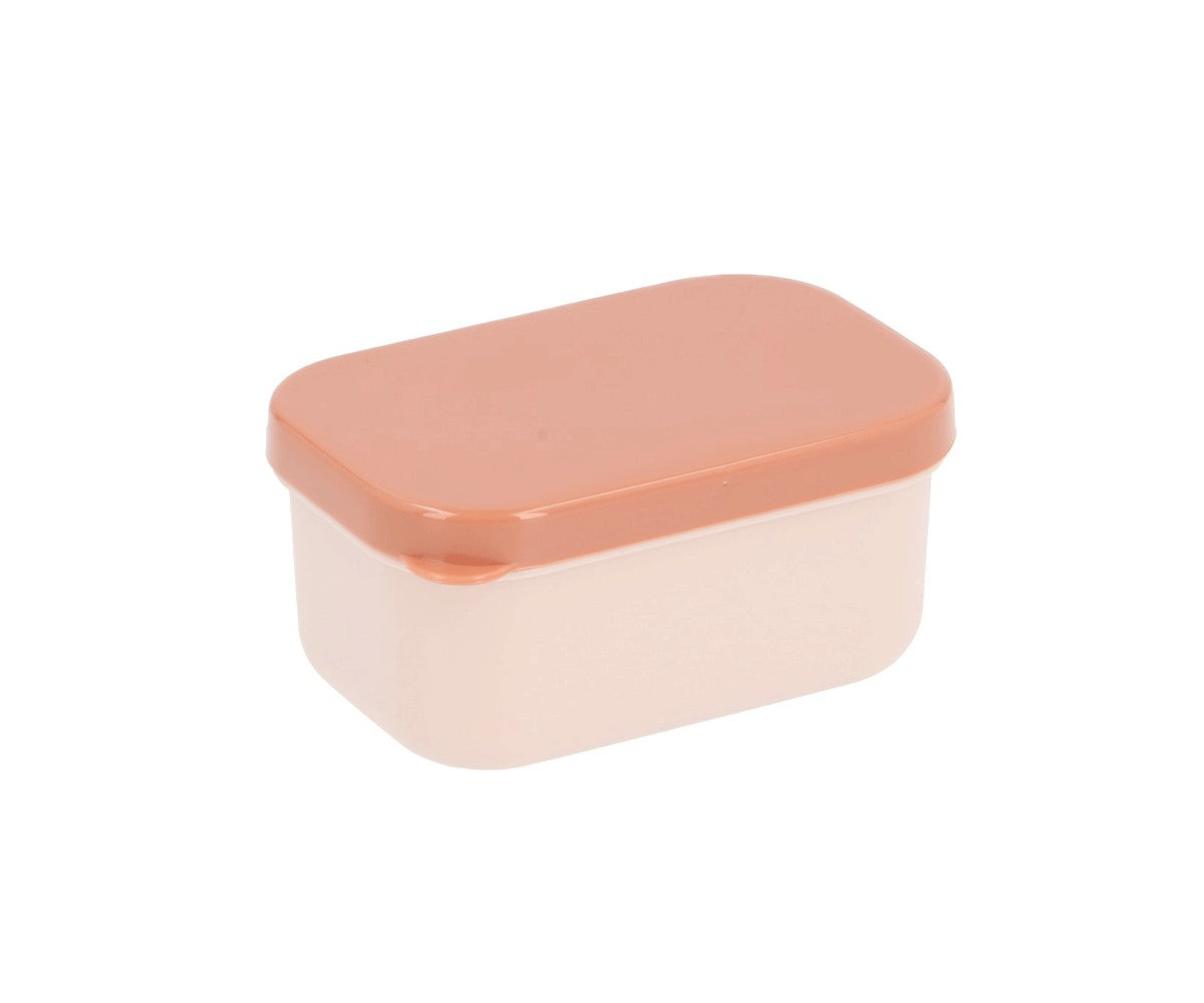 Bento Box Tutete Geometric Nature