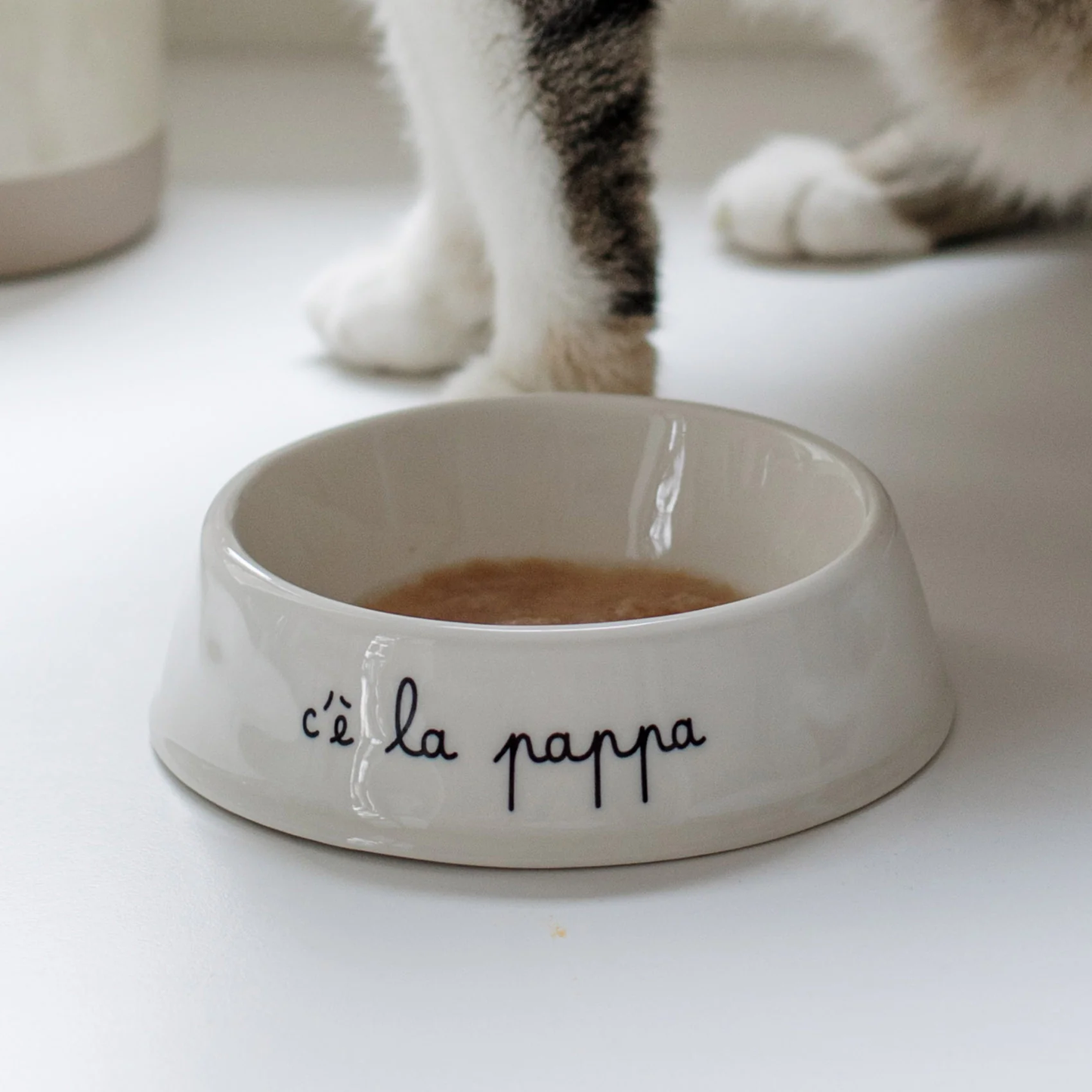 Ciotola per animali C'è la pappa- S