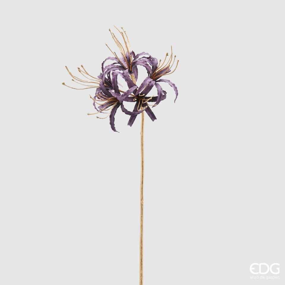 Ramo Lycoris