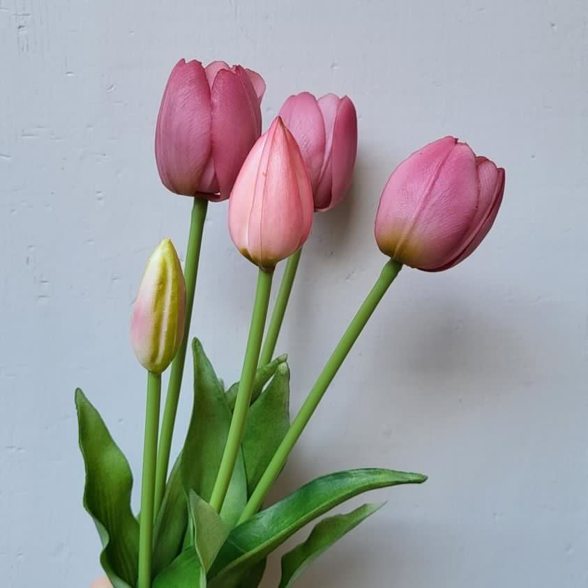 Bouquet 5 tulipani