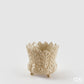 Vaso Freaky foglie