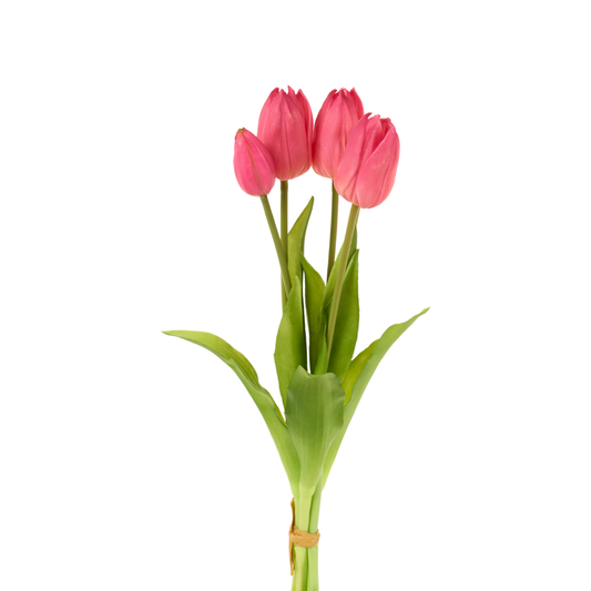 Bouquet 5 tulipani fucsia