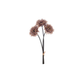 Bouquet floreale