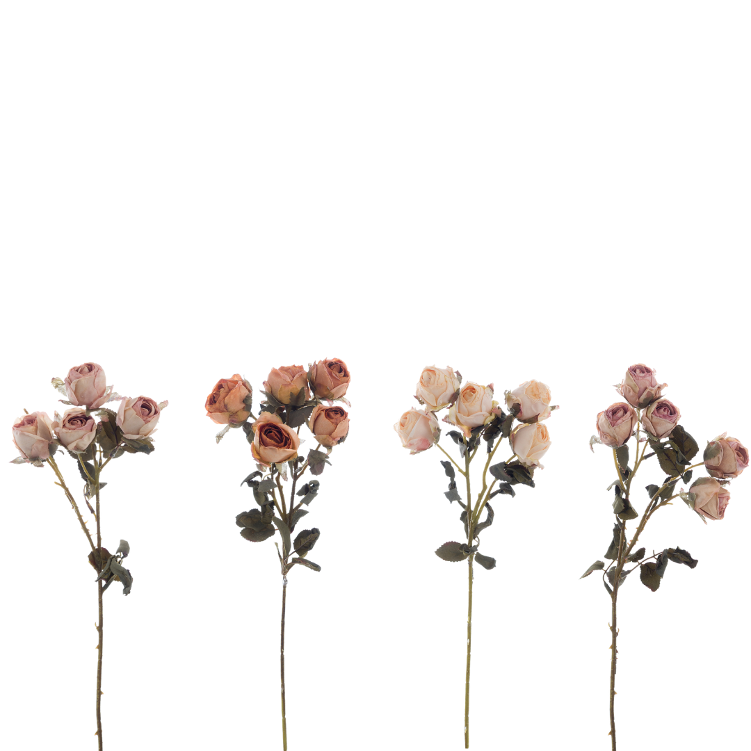 Ramo Roselline