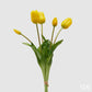 Bouquet 5 tulipani
