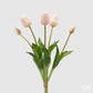 Bouquet 5 tulipani