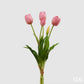 Bouquet 5 tulipani