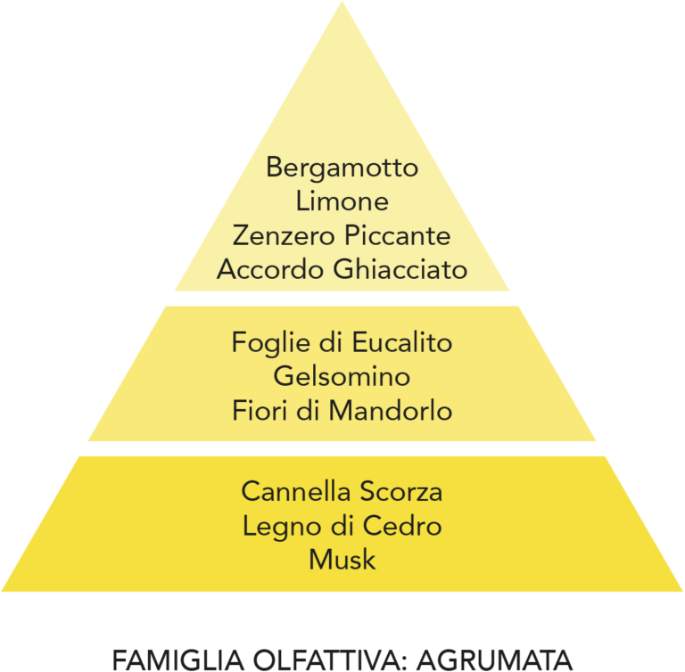 Ricarica Profumatore Auto Nunzio - Ghiaccio e Zenzero