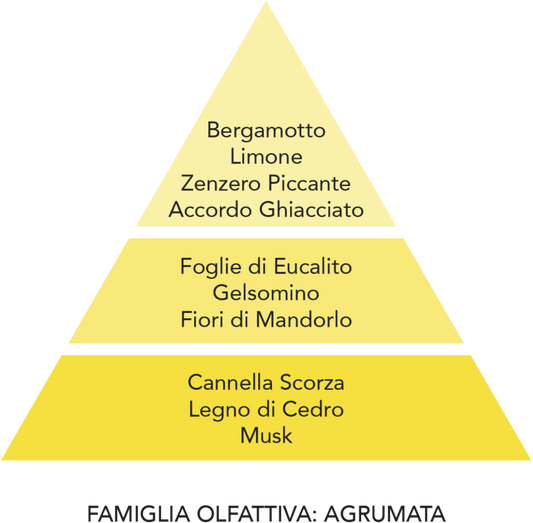 Candele e profumazioni – Melacompro