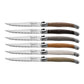 Set 6 coltelli bistecca Premium