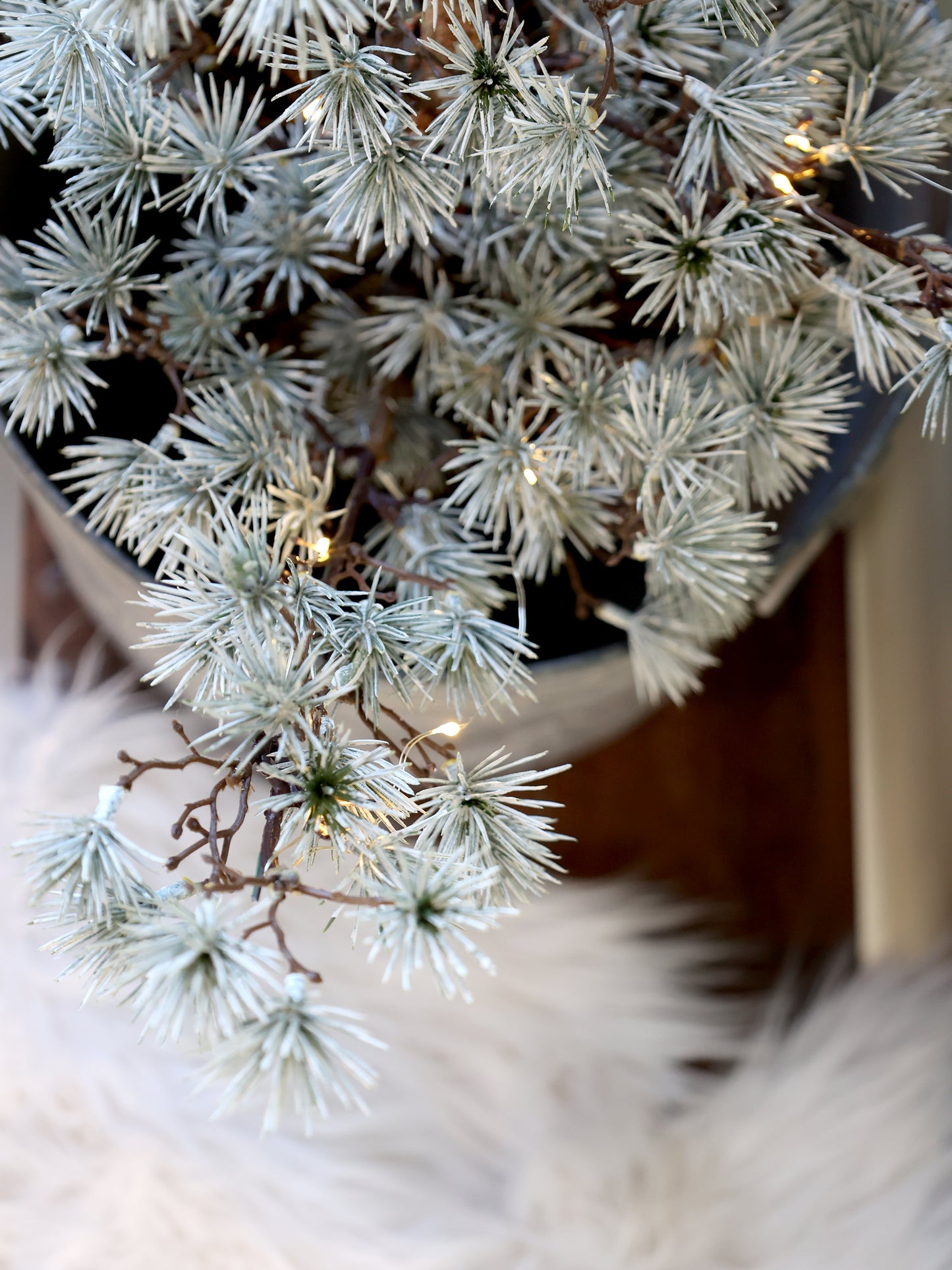 Albero di cedro con LED