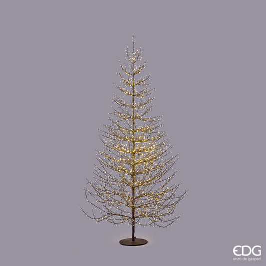 Albero Faggio Rich Led