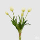 Bouquet 5 tulipani bianchi