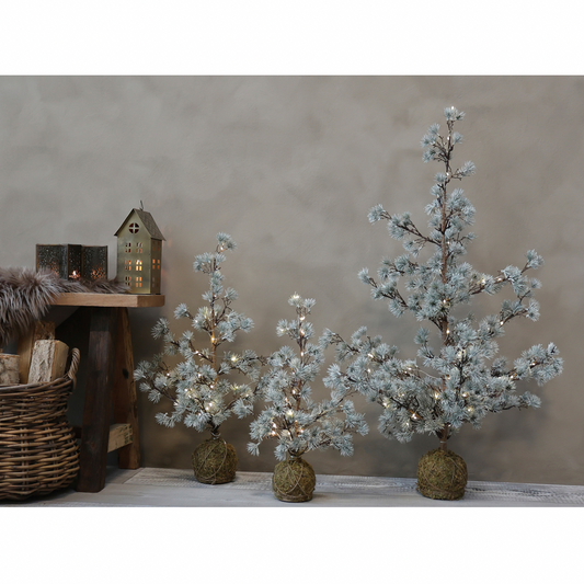 Albero di cedro con LED