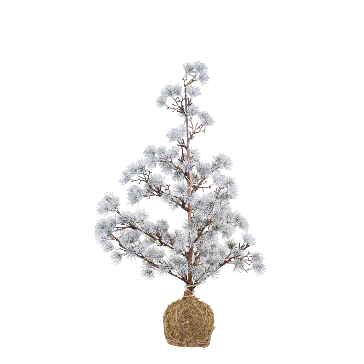 Albero di cedro con LED