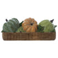 Decorazione cestino con zucche