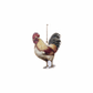 Decoro Gallina e gallo