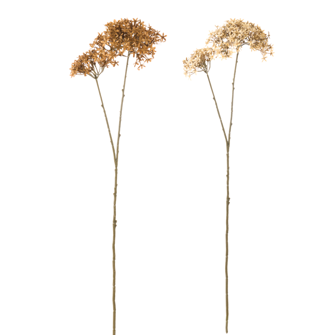 Ramo Fiore Buvardia