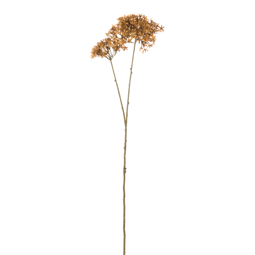 Ramo Fiore Buvardia